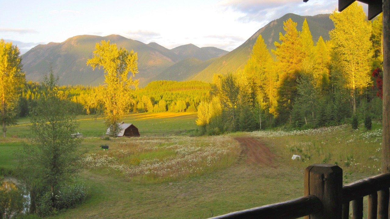 Photo of Outdoor in Coram