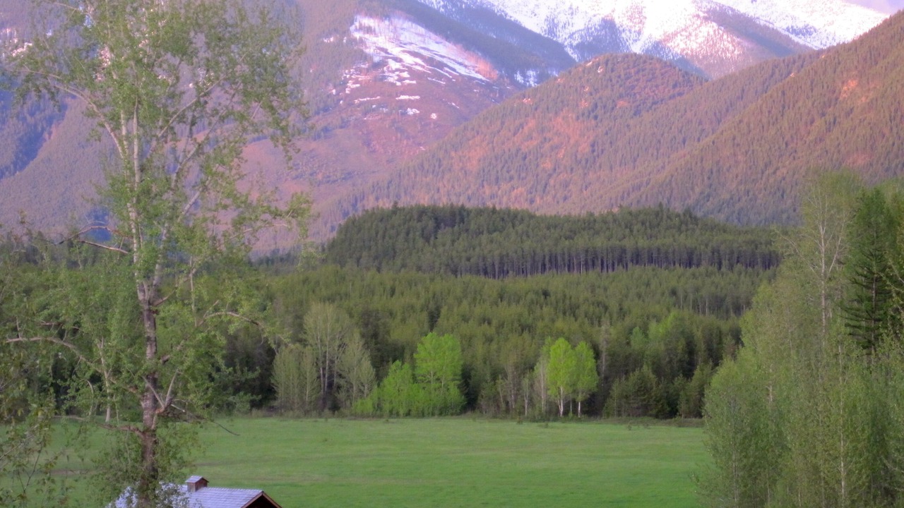 Photo of Outdoor in Coram