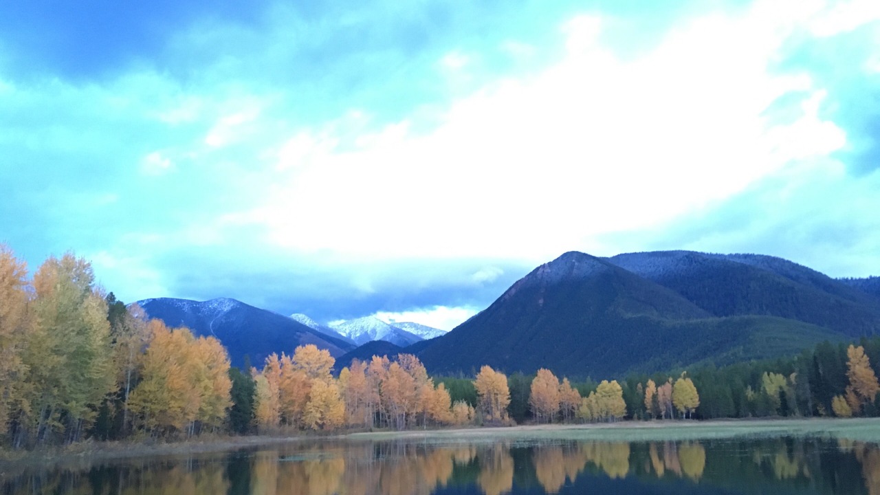Photo of Outdoor in Coram