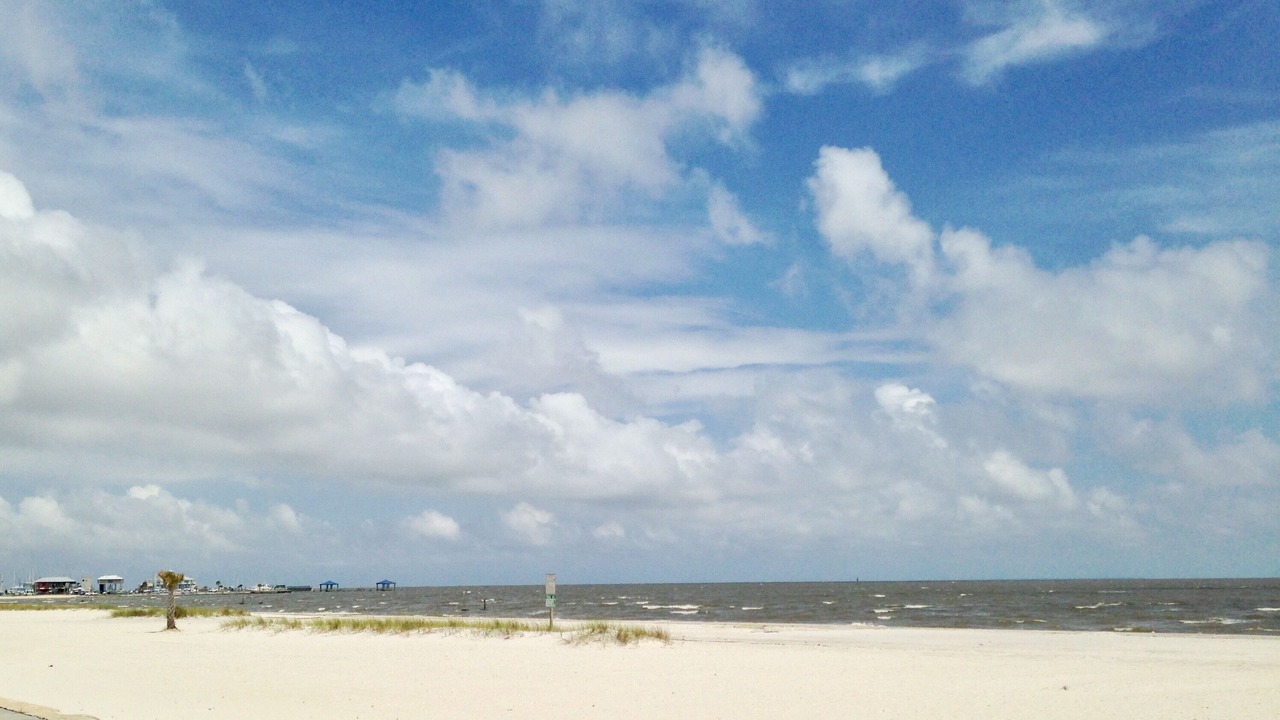 Photo of Others in Henderson Point