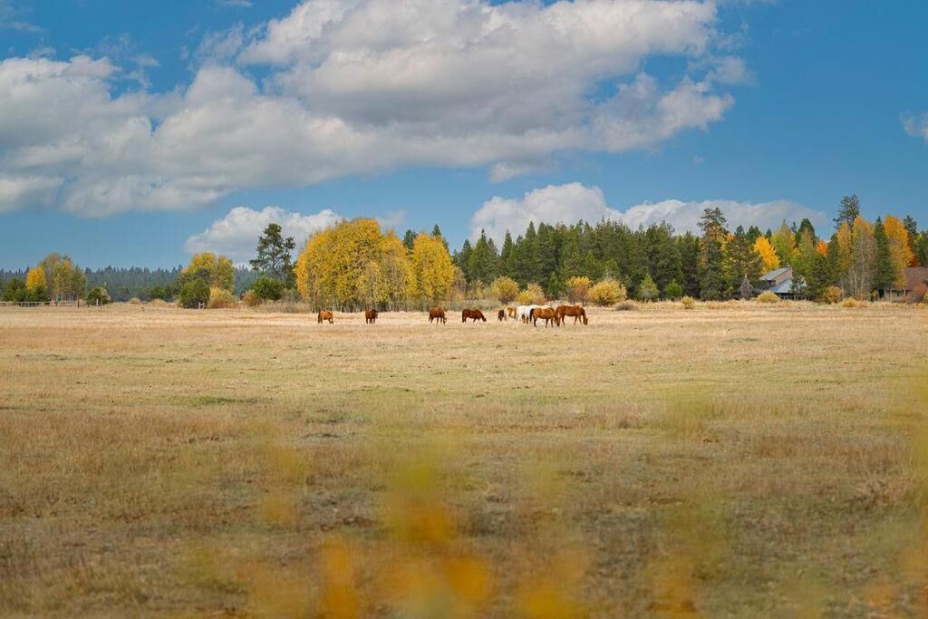 Photo of Others in Sunriver