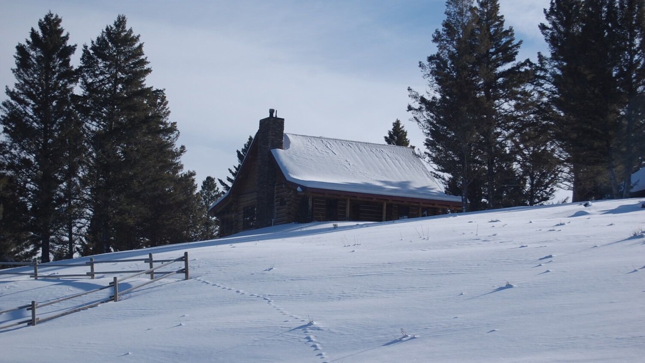 Photo of Others in Porcupine Park