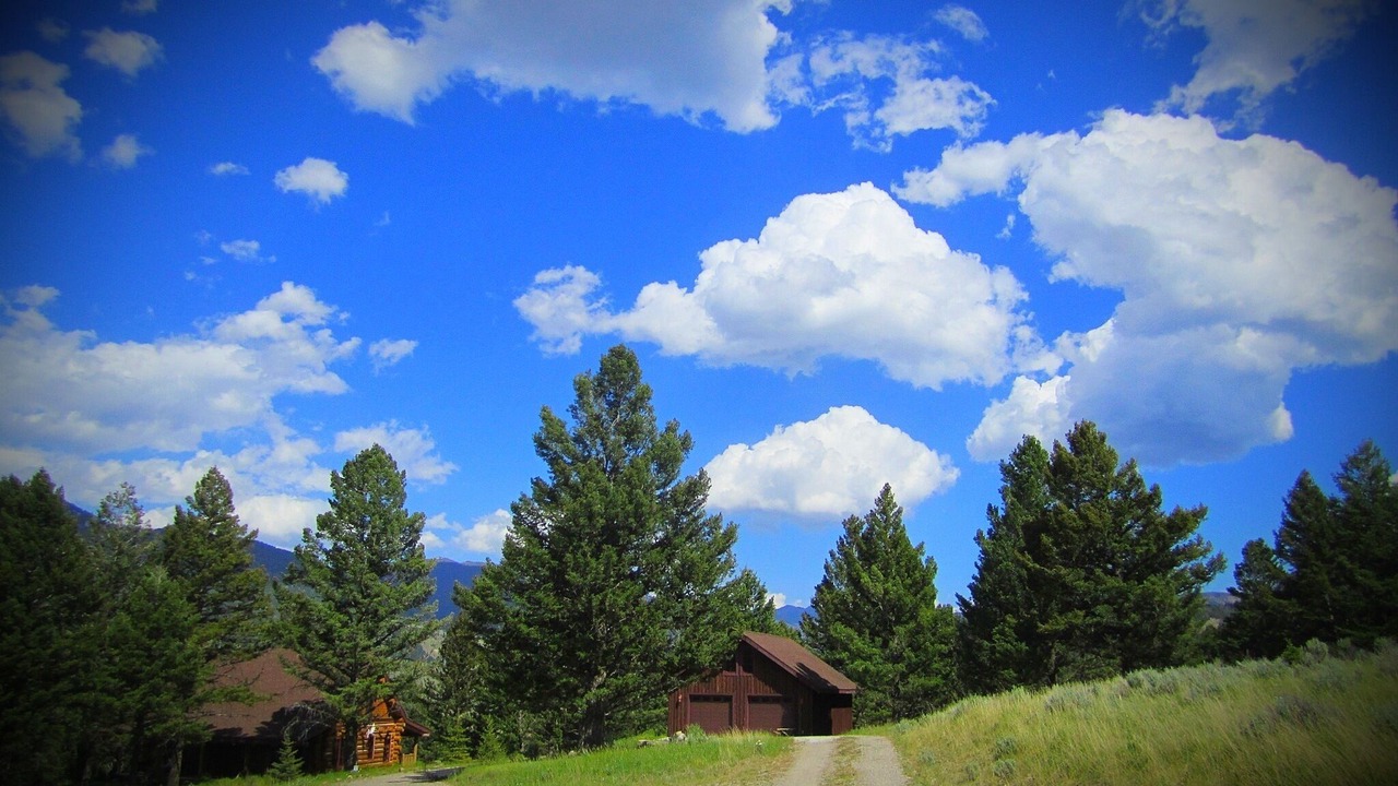 Photo of Others in Porcupine Park