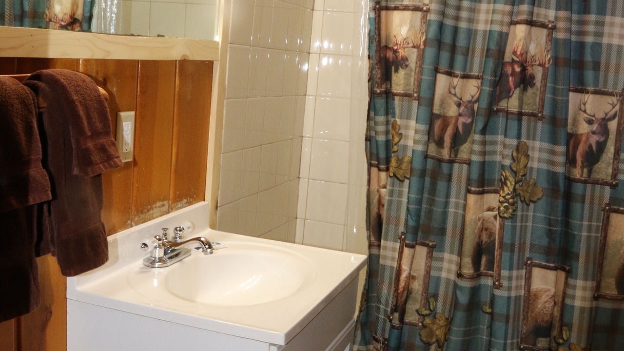 Photo of Bathroom in Wapiti