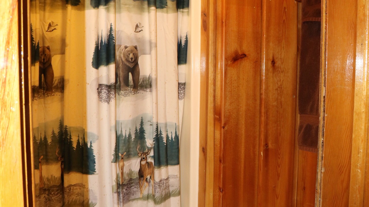 Photo of Bathroom in Wapiti