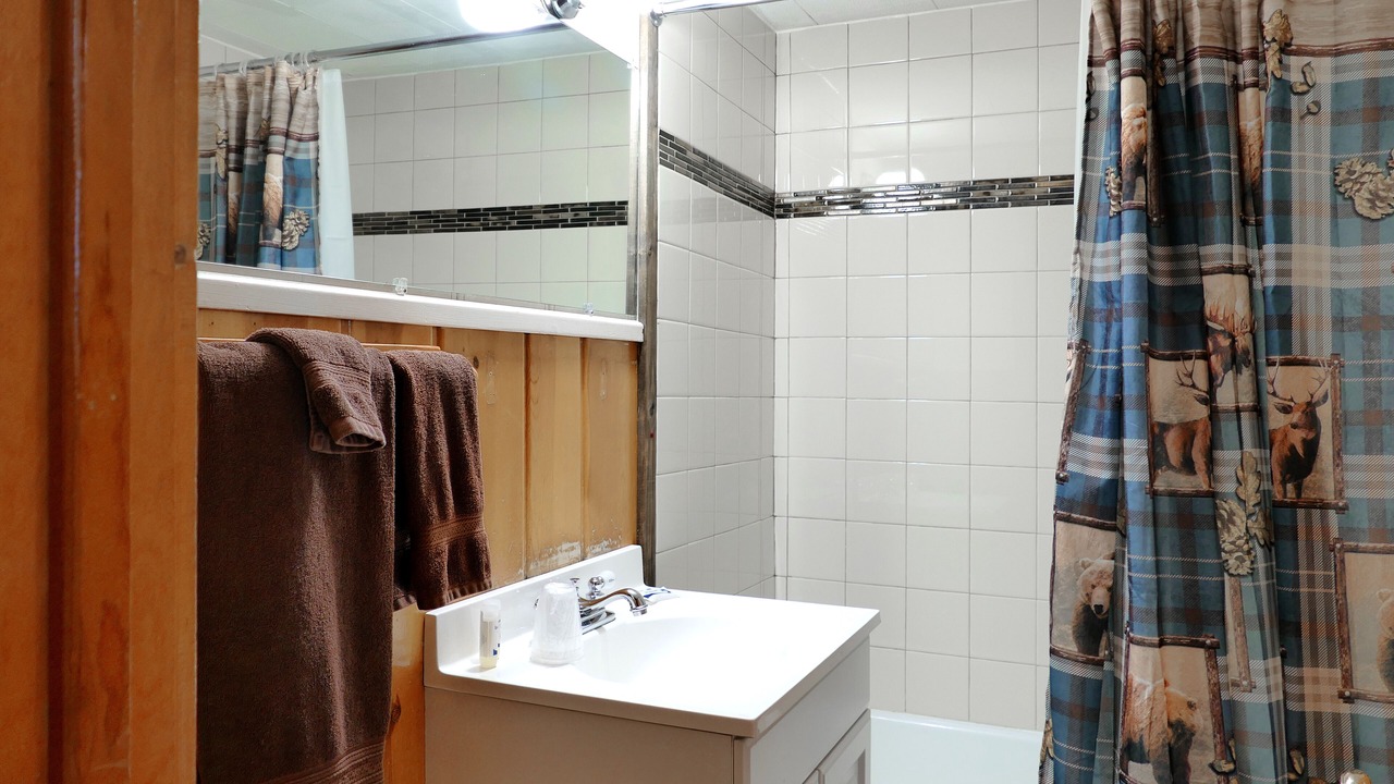 Photo of Bathroom in Wapiti