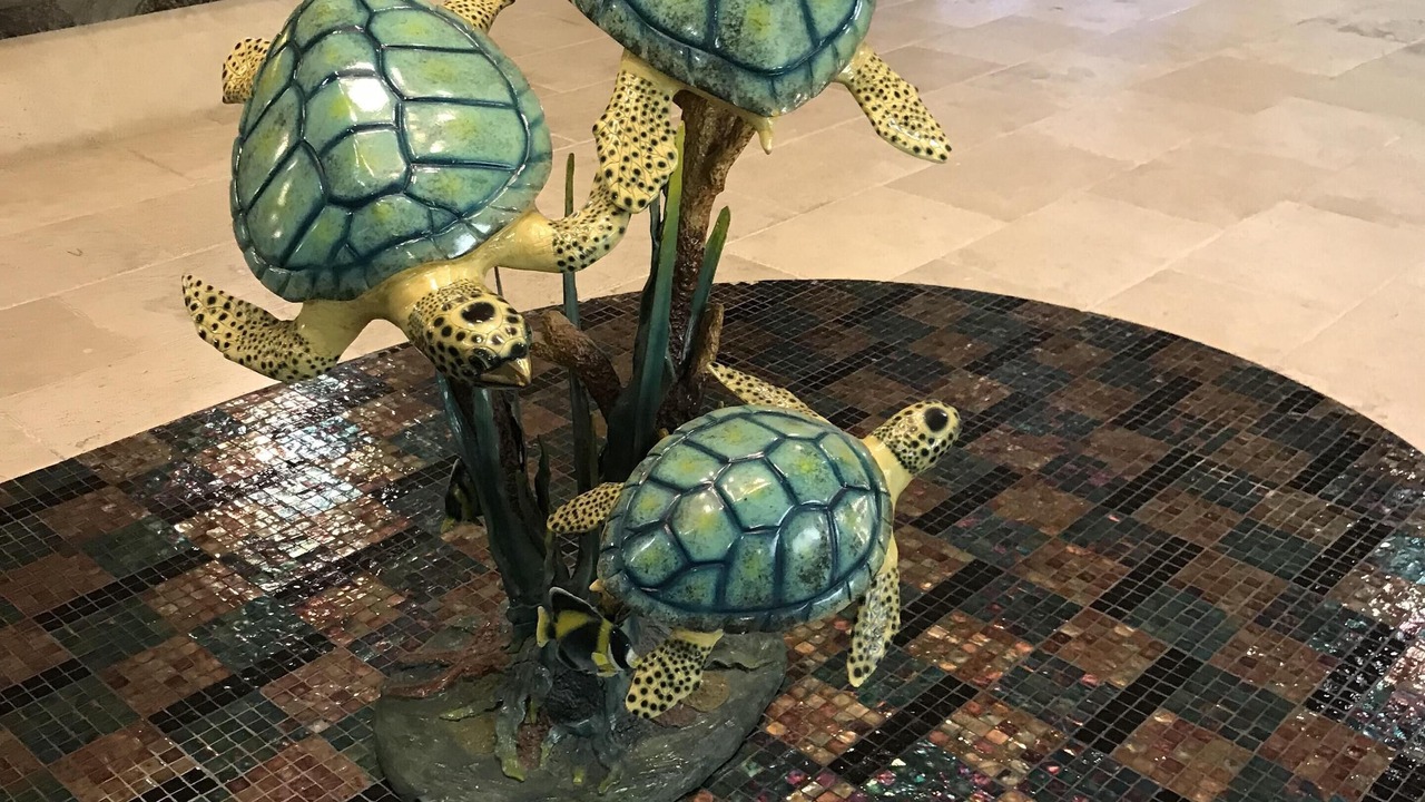 Photo of Others in Galveston