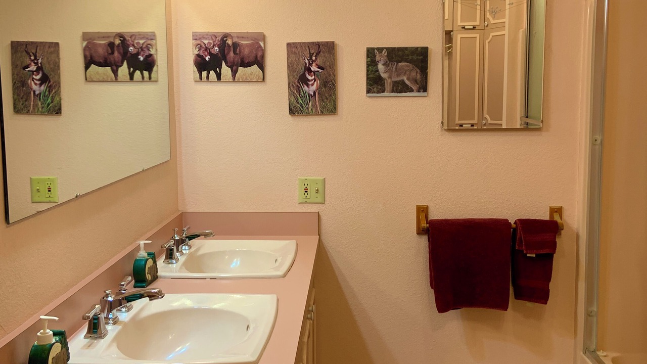Photo of Bathroom in Gardiner