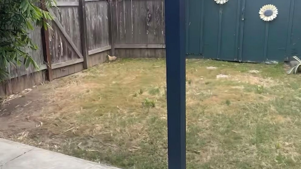 Photo of Outdoor in Roseville - Fleet Ridge