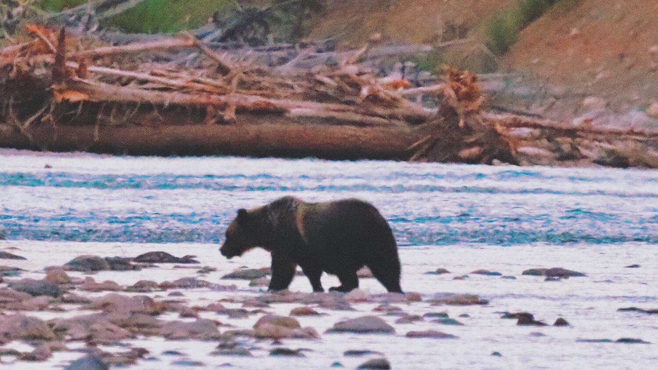 Photo of Others in Polebridge