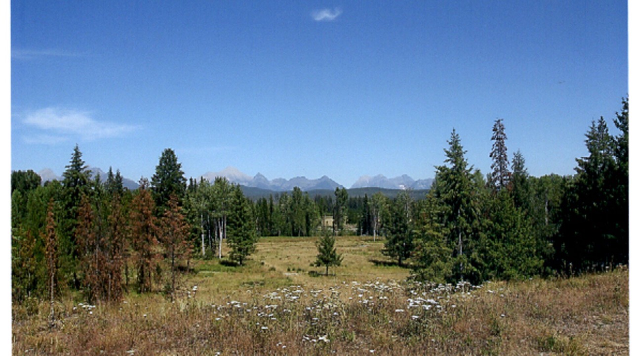 Photo of Outdoor in Polebridge