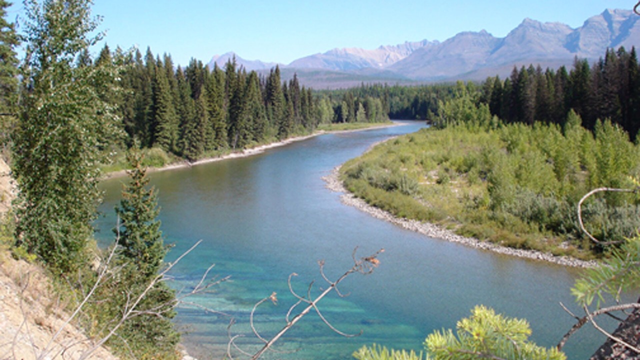 Photo of Others in Polebridge