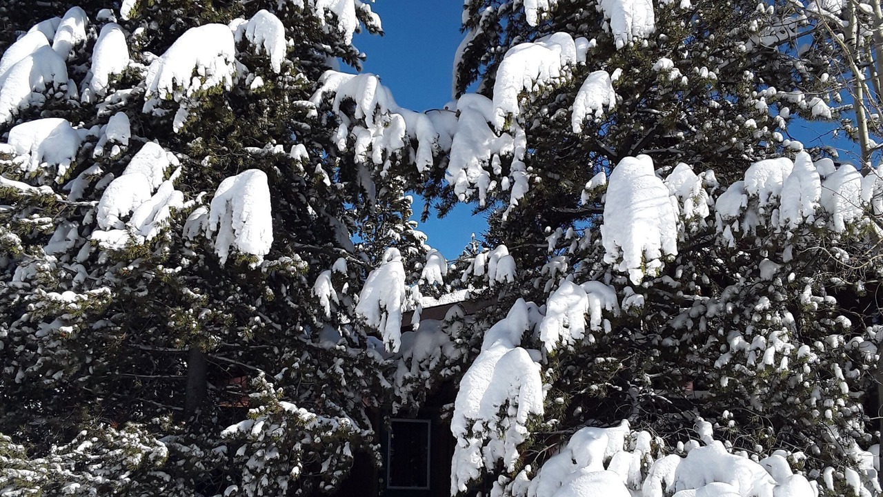 Photo of Others in West Yellowstone