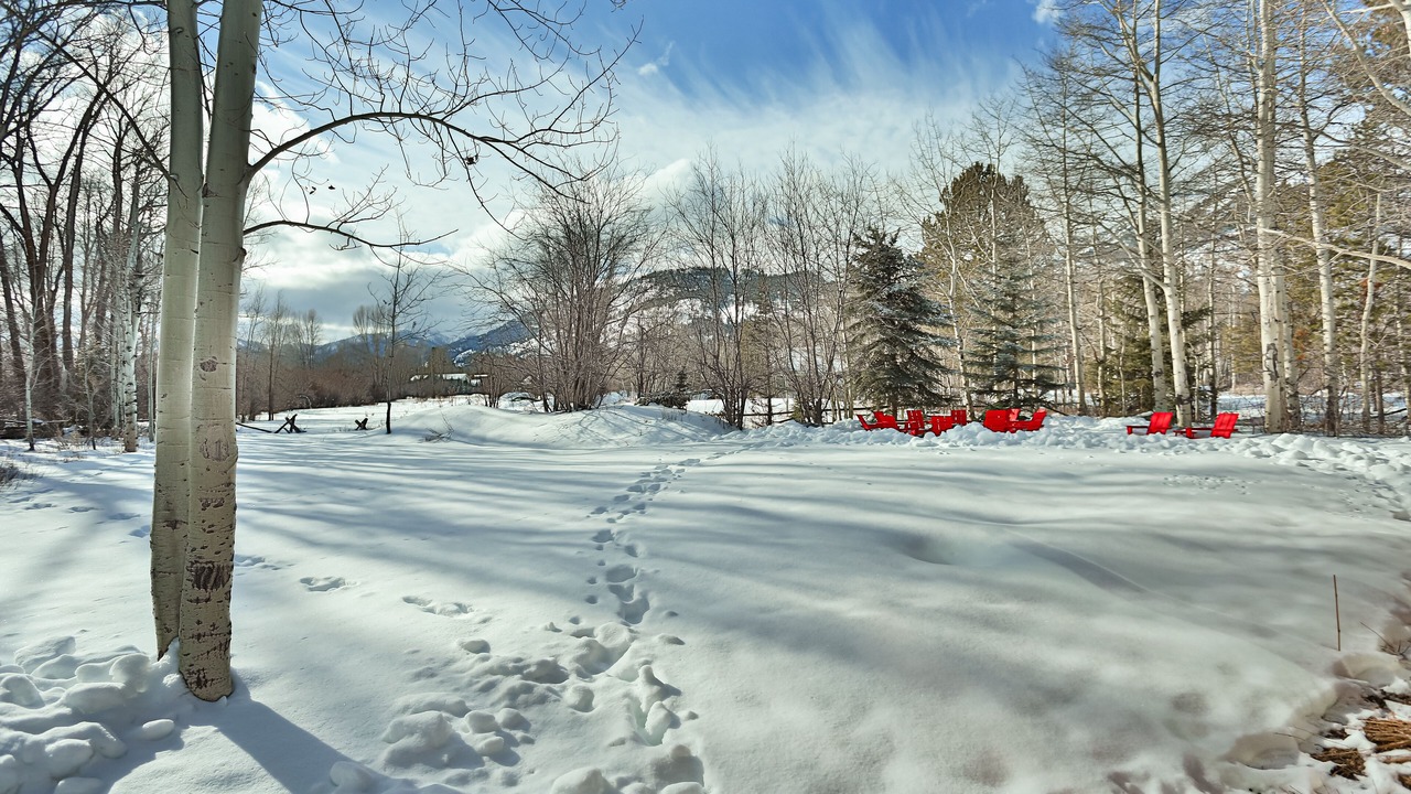 Photo of Outdoor in Moose Wilson Road