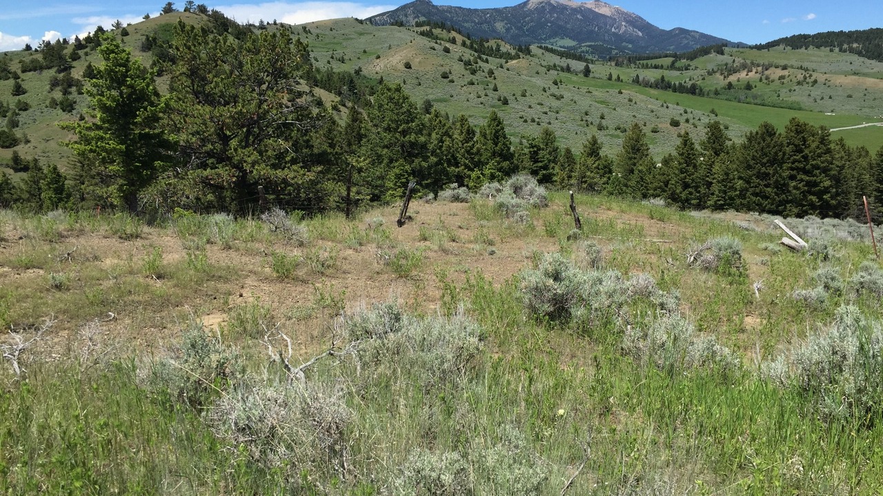 Photo of Others in Bozeman