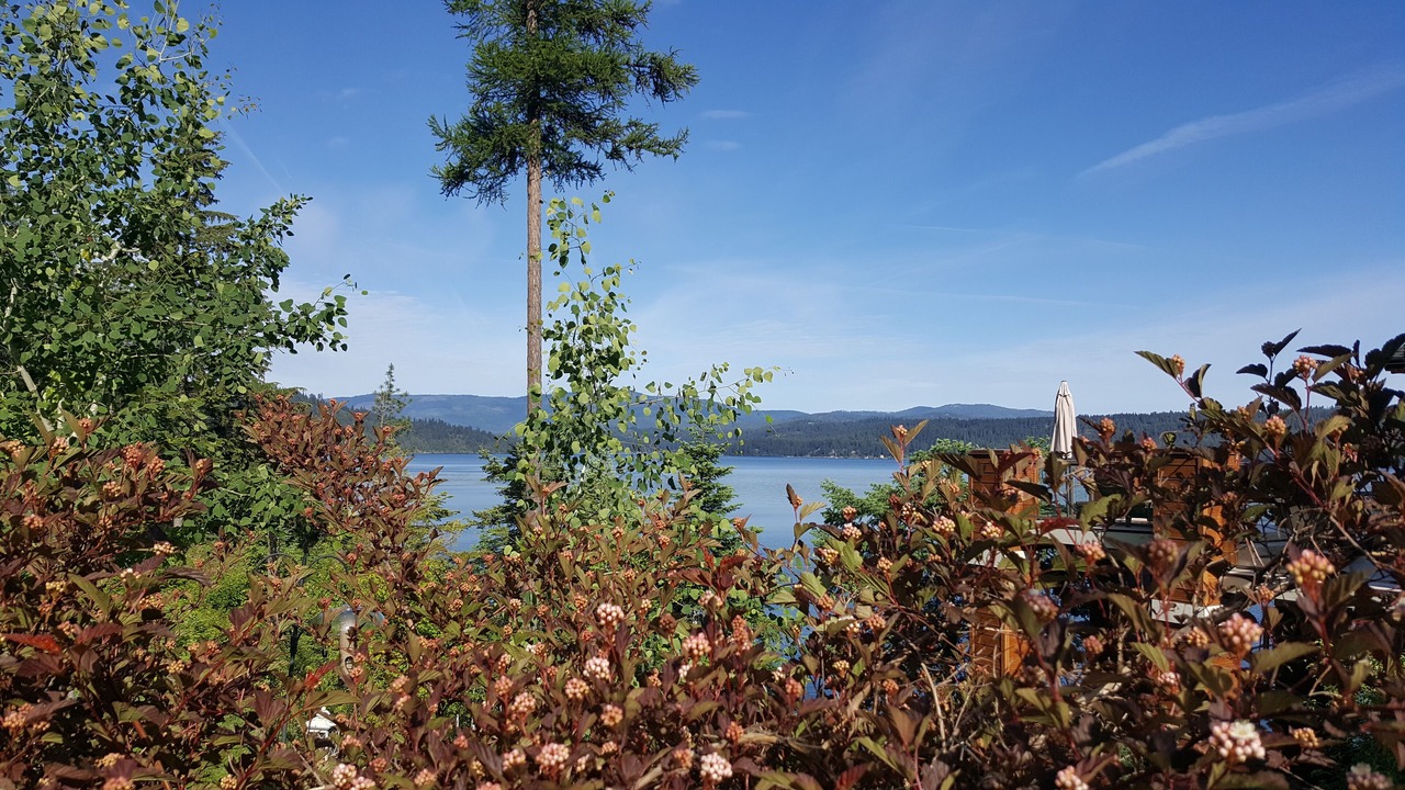 Photo of Others in Coeur d'Alene