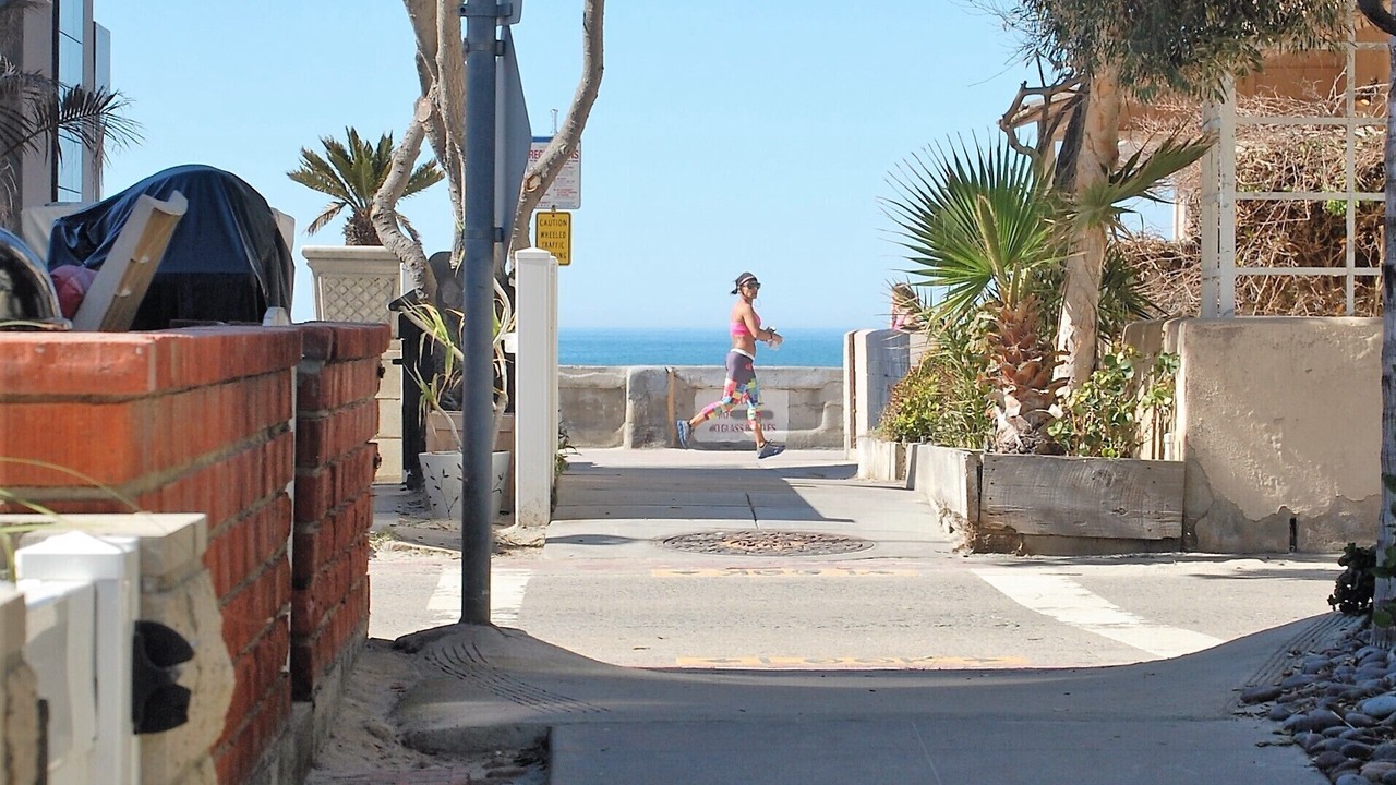 Photo of Others in Mission Beach