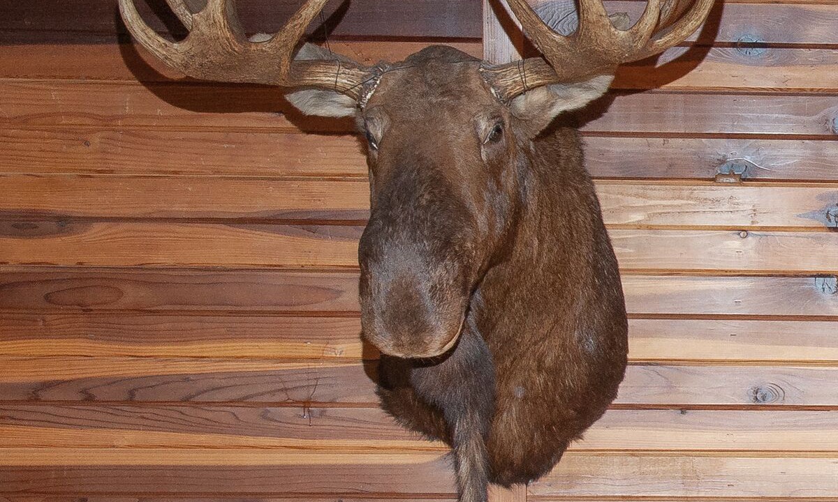 Photo of Others in Kalispell