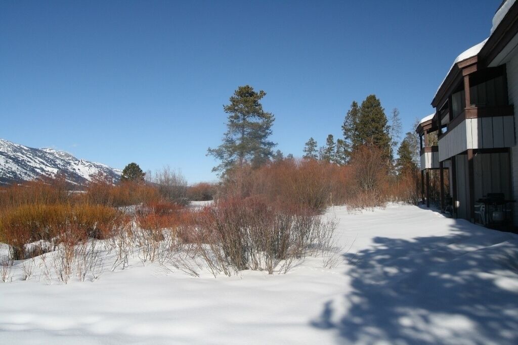 Photo of Others in Moose Wilson Road