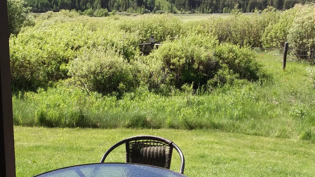 Photo of Others in Moose Wilson Road