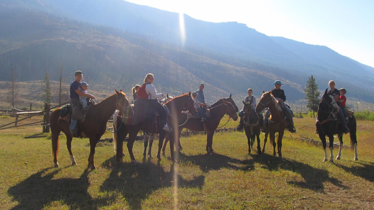 Photo of Others in Wapiti