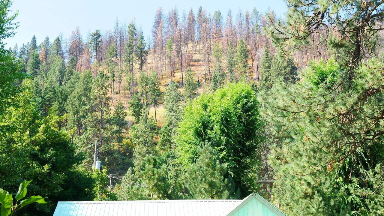 Photo of Others in New Meadows