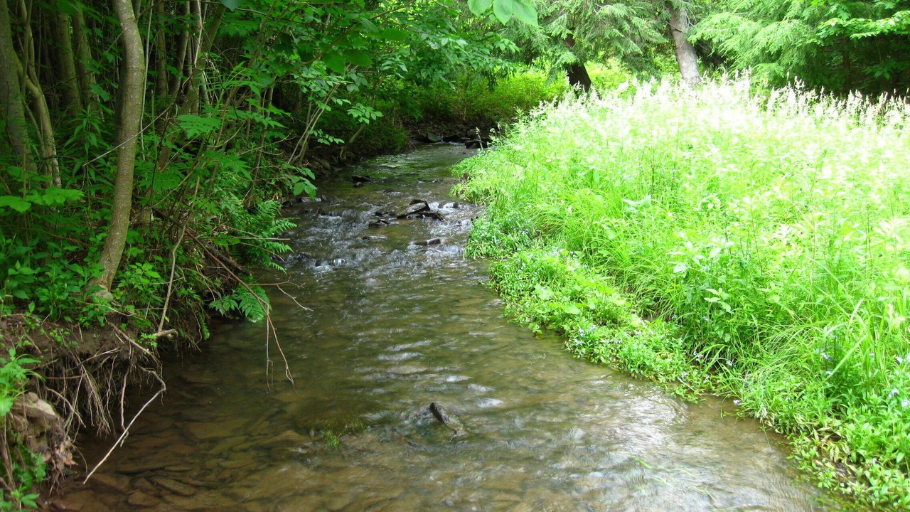 Photo of Others in Sabinsville