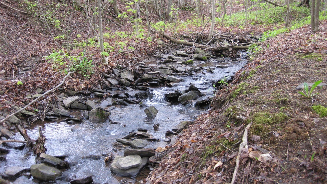 Photo of Others in Sabinsville