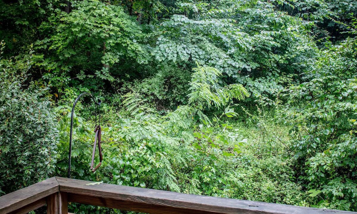 Photo of Outdoor in Nelsonville