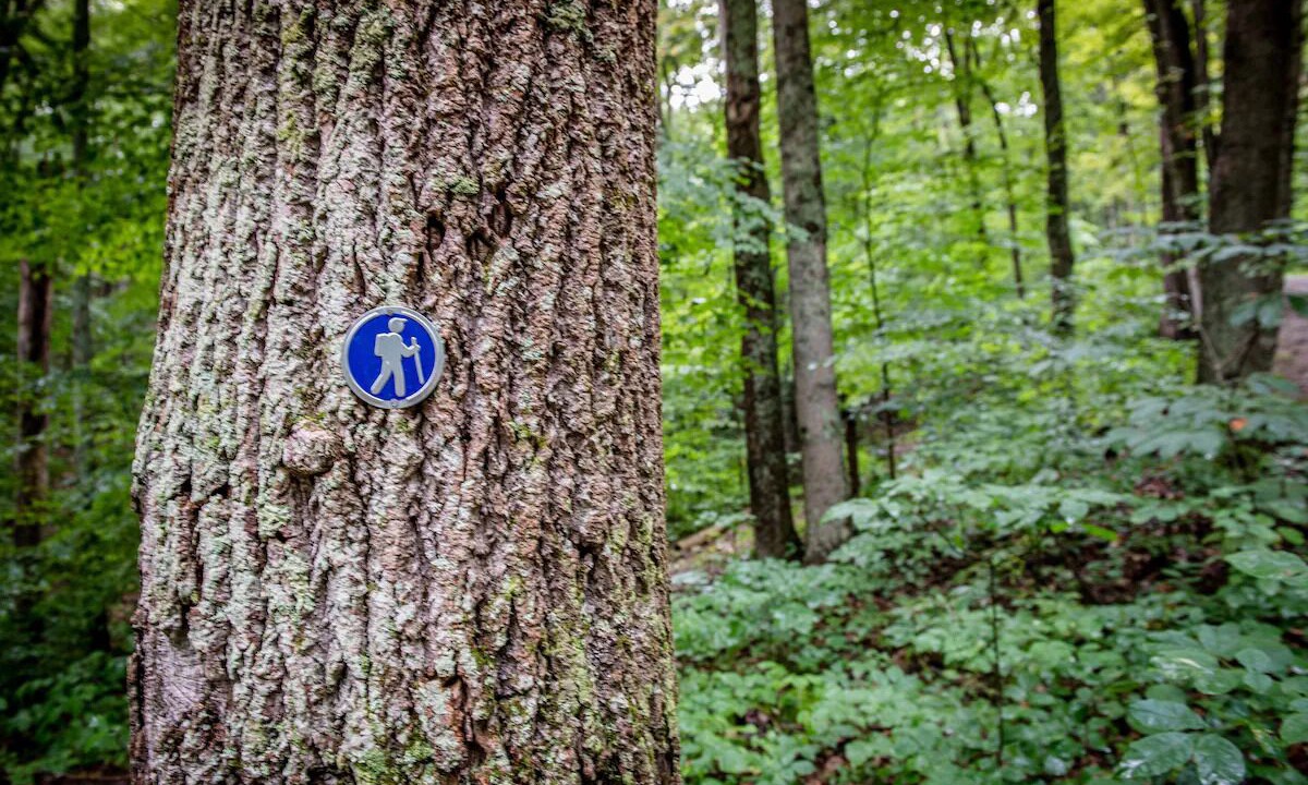 Photo of Outdoor in Nelsonville