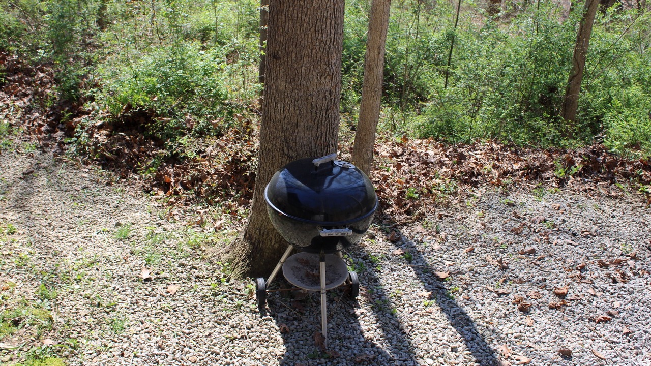 Photo of Others in Nelsonville