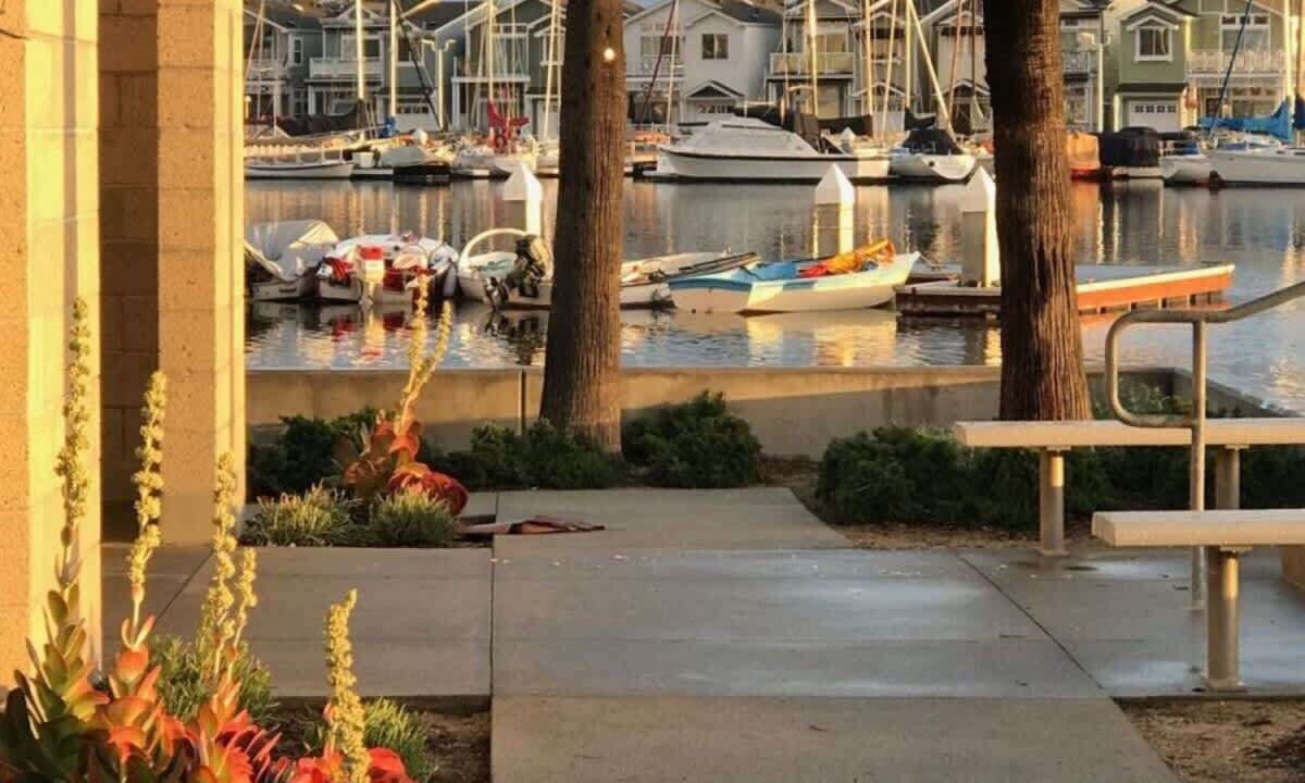 Photo of Outdoor in West Newport