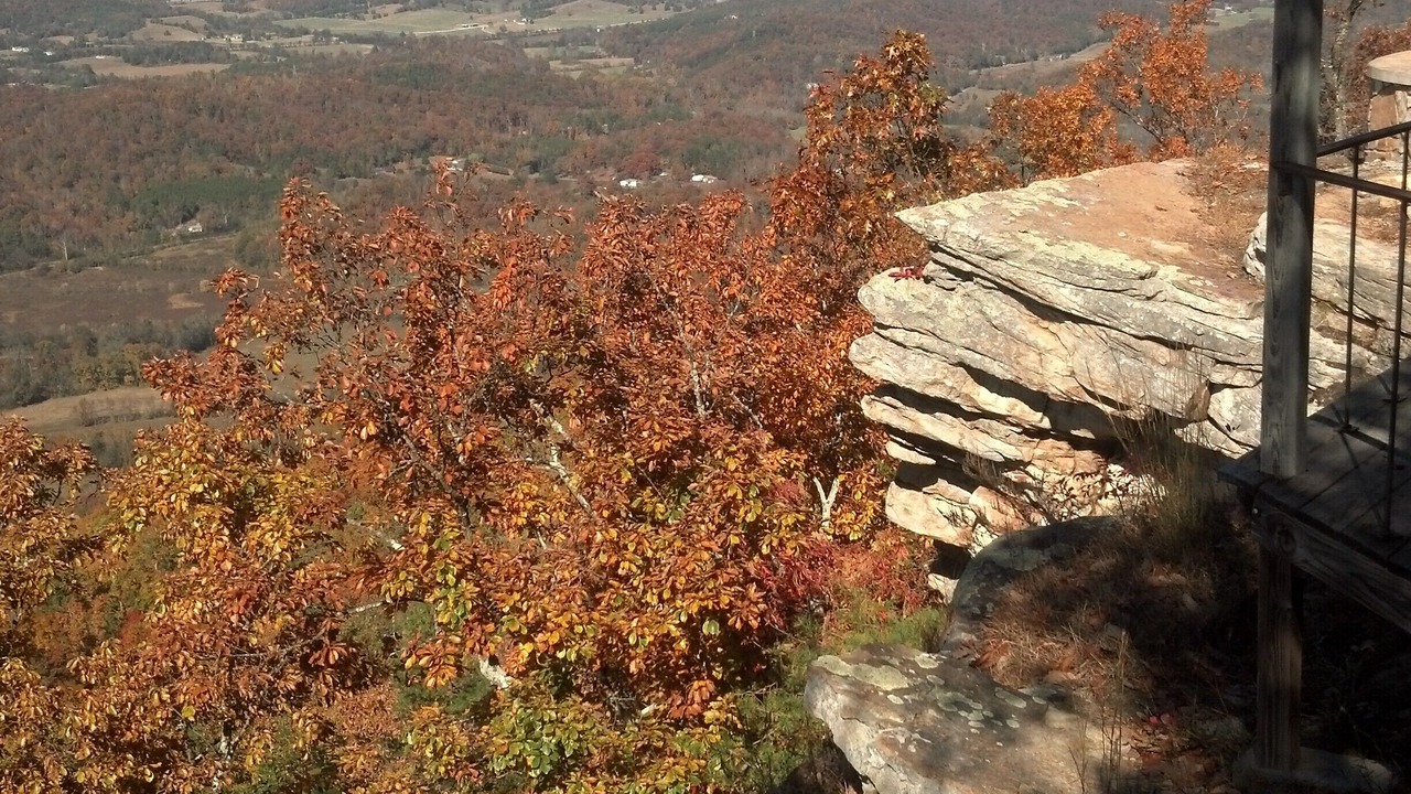 Photo of Others in Lookout Mountain