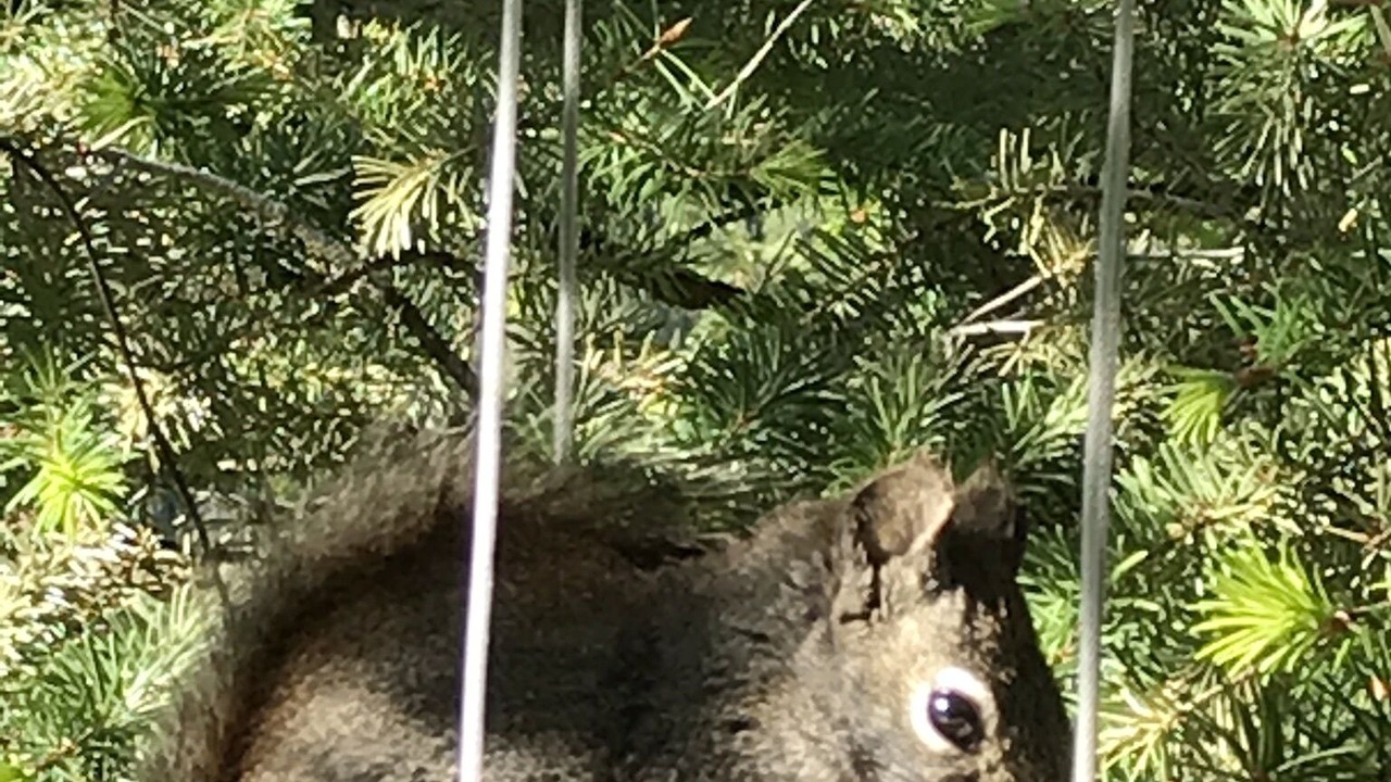 Photo of Outdoor in White Sulphur Springs