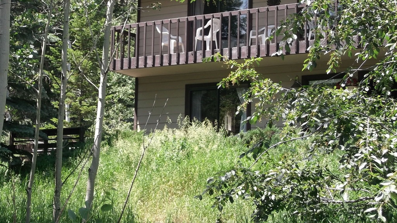 Photo of Others in Teton Village
