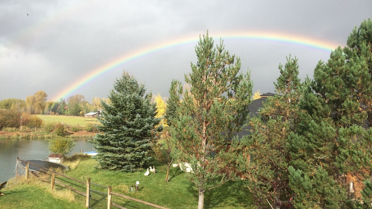 Photo of Outdoor in Wilson