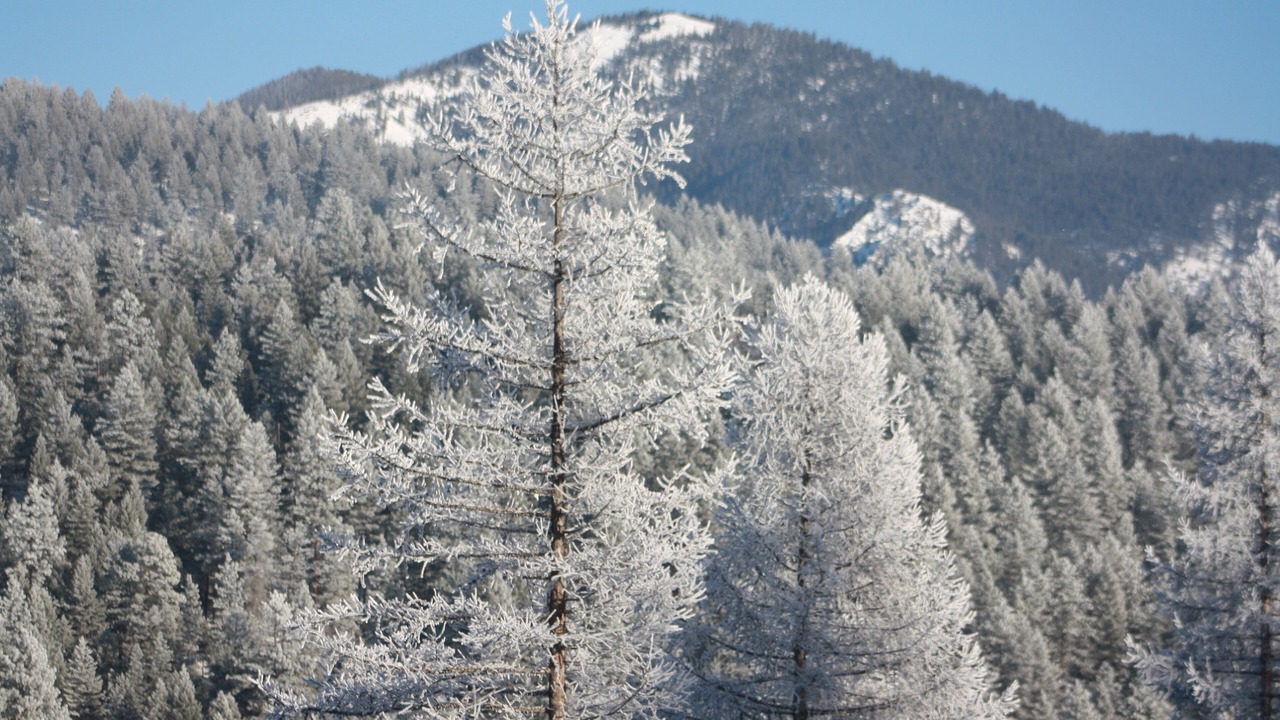 Photo of Others in Missoula