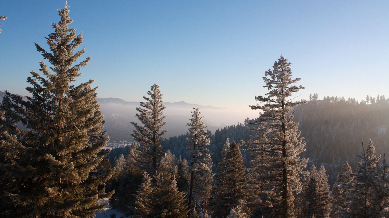 Photo of Others in Missoula