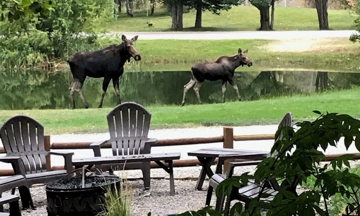 Photo of Outdoor in Rigby