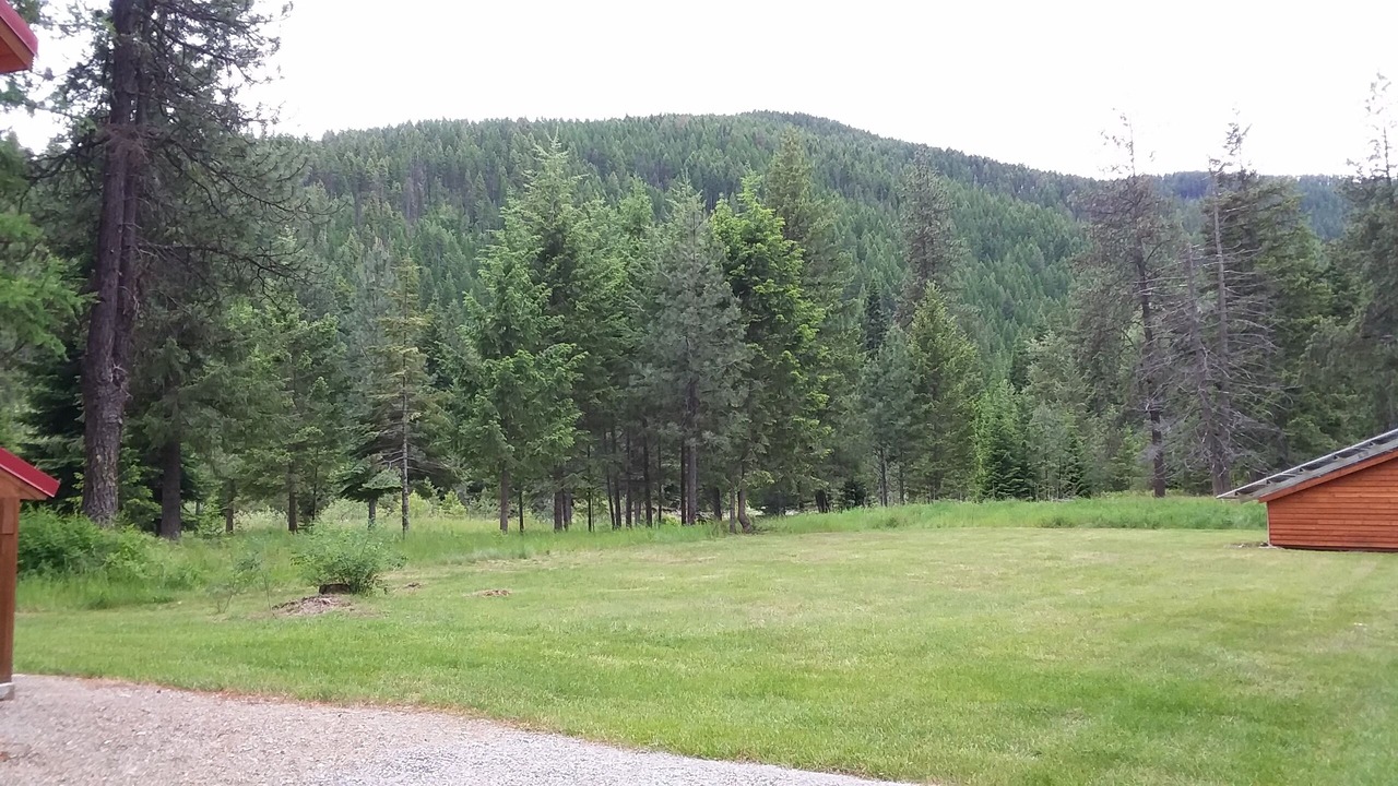 Photo of Others in Trout Creek