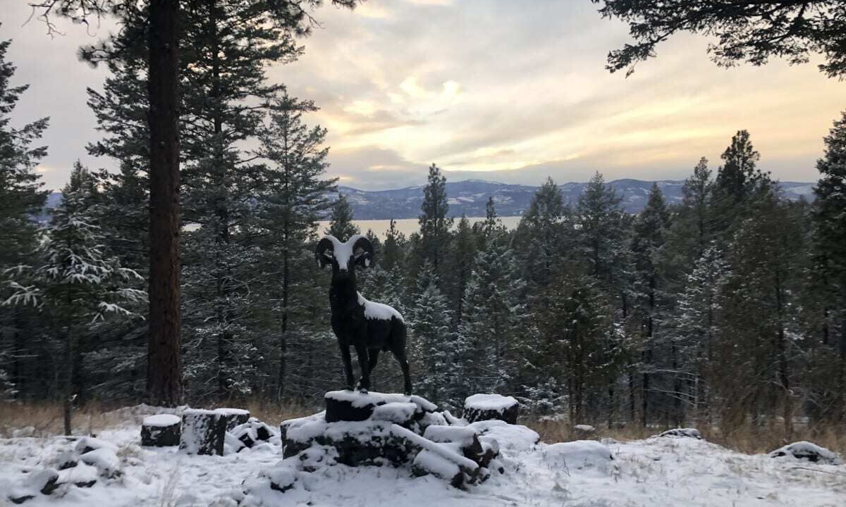 Photo of Others in Bigfork