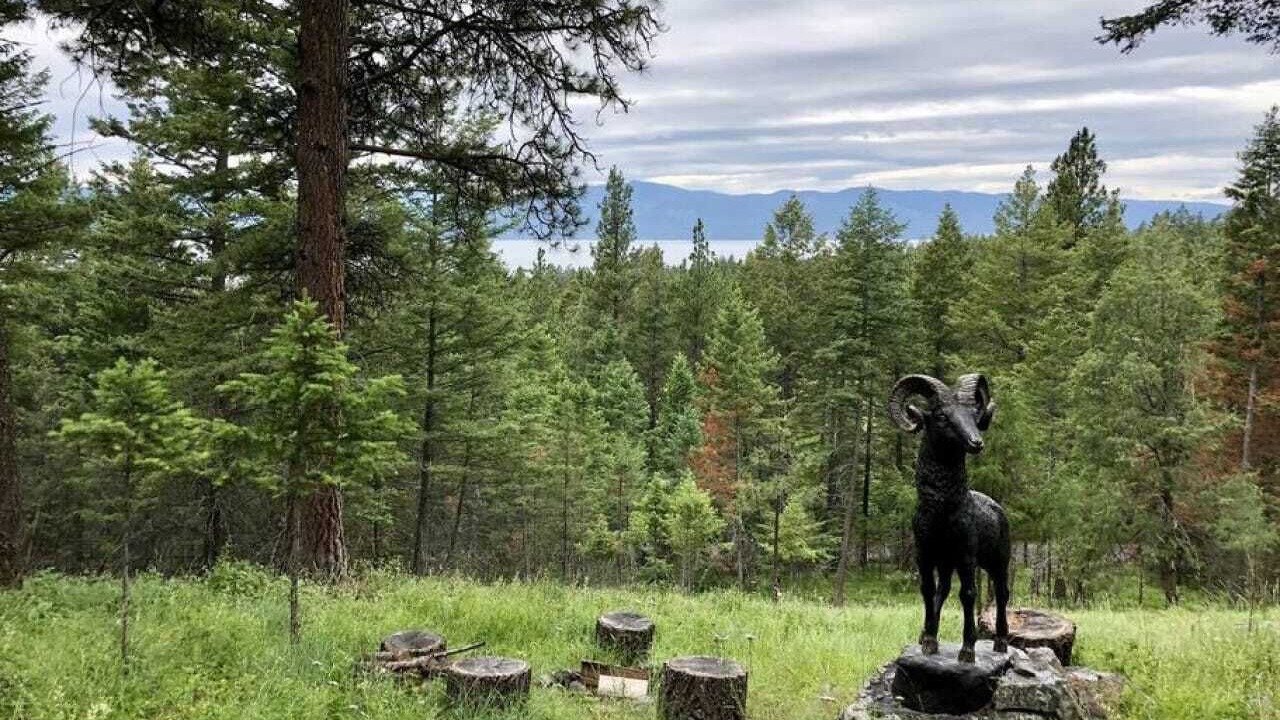 Photo of Outdoor in Bigfork