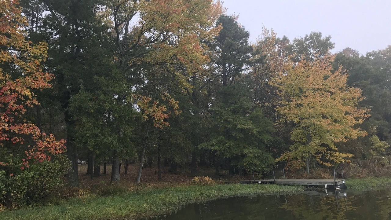 Photo of Outdoor in Russellville