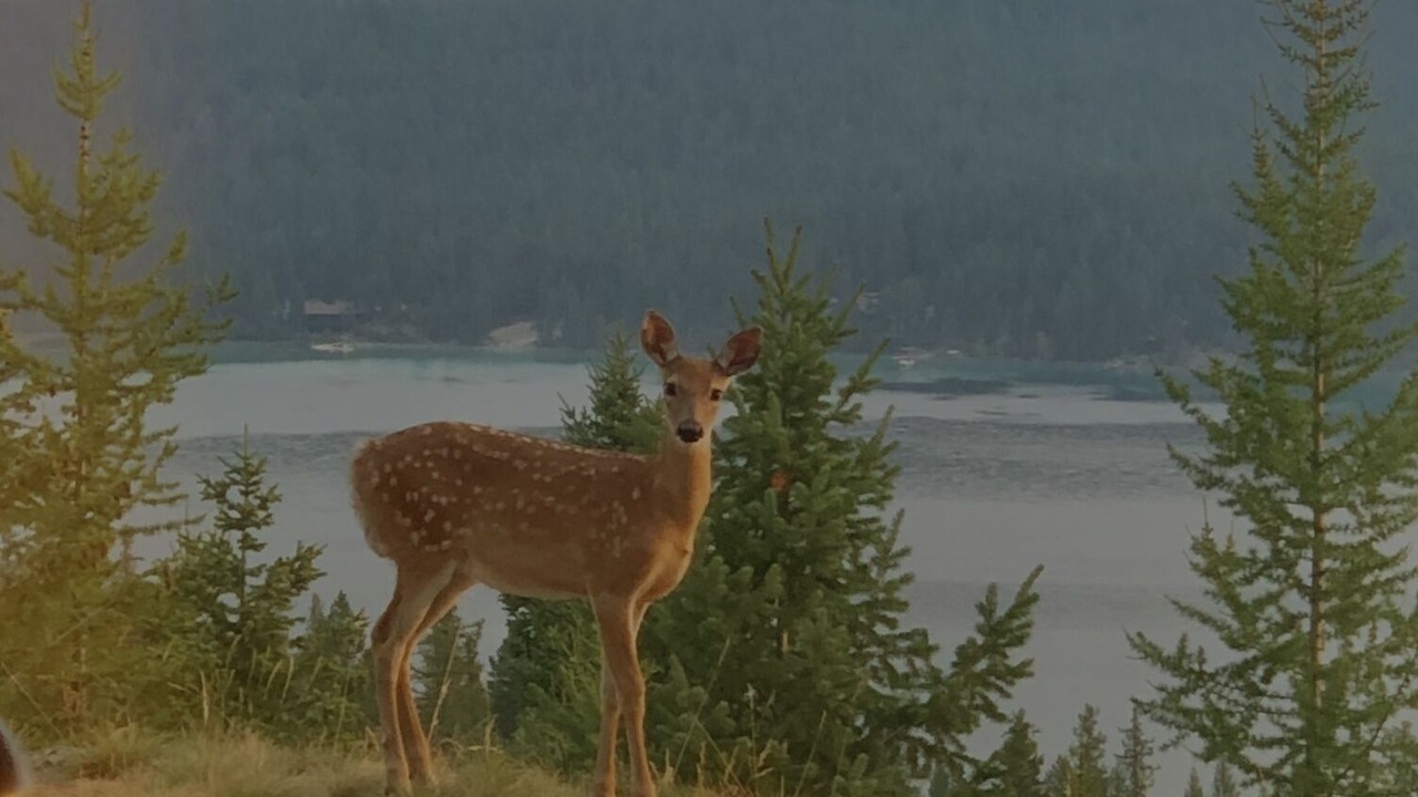 Photo of Outdoor in Kalispell
