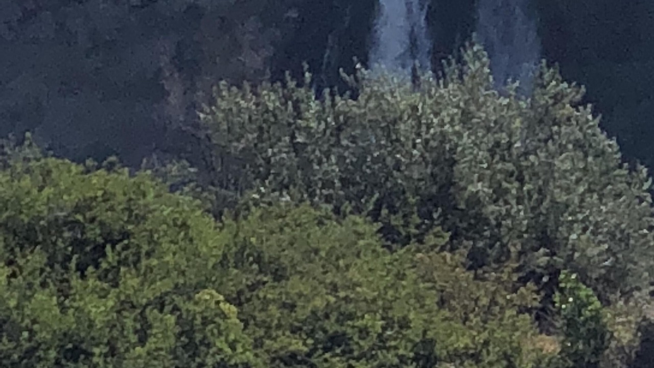 Photo of Others in Hagerman