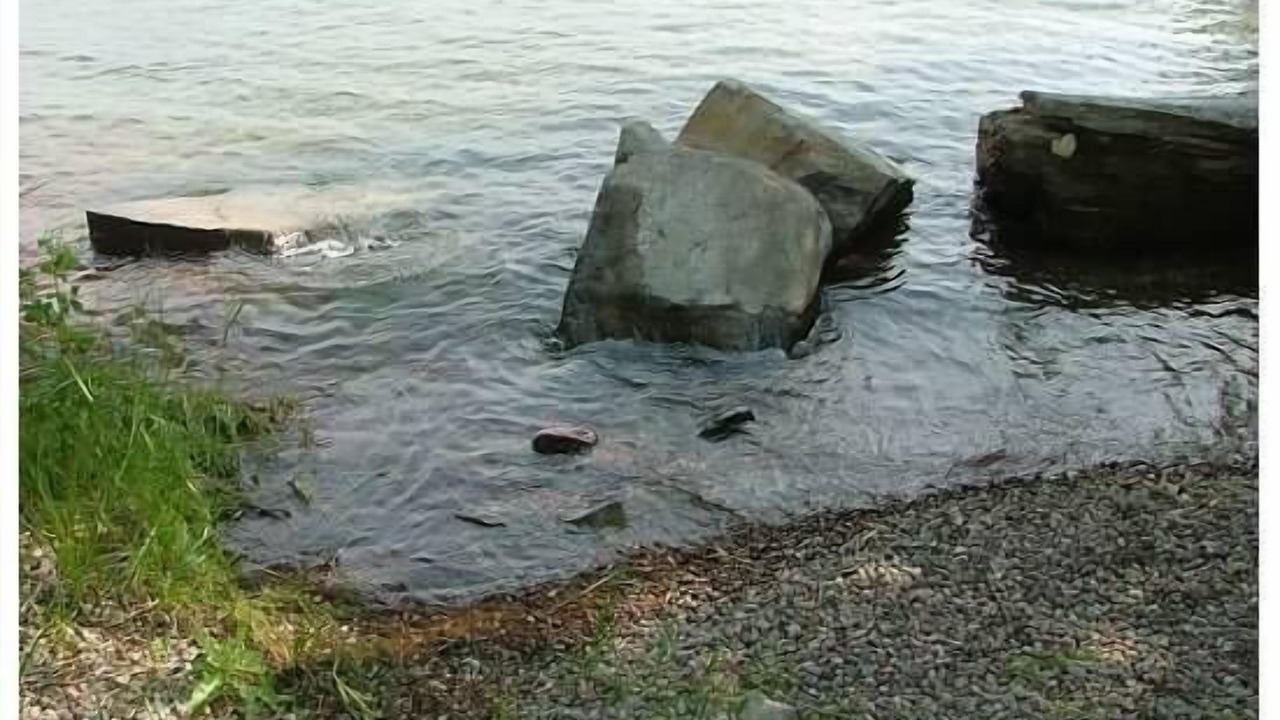 Photo of Others in Rocky Point