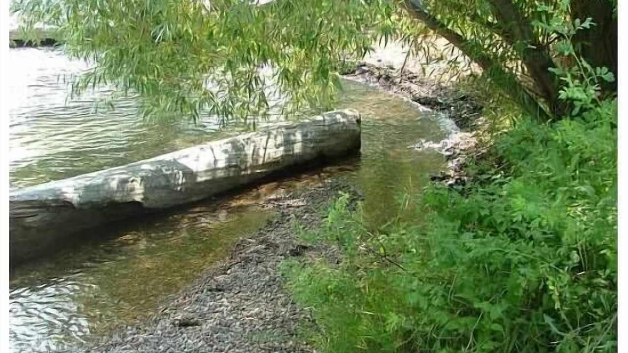 Photo of Outdoor in Rocky Point