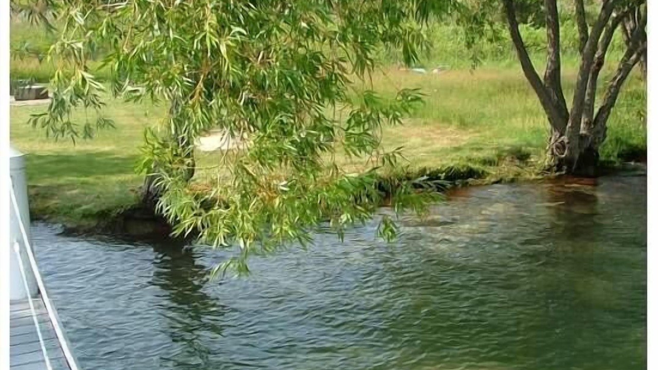 Photo of Outdoor in Rocky Point