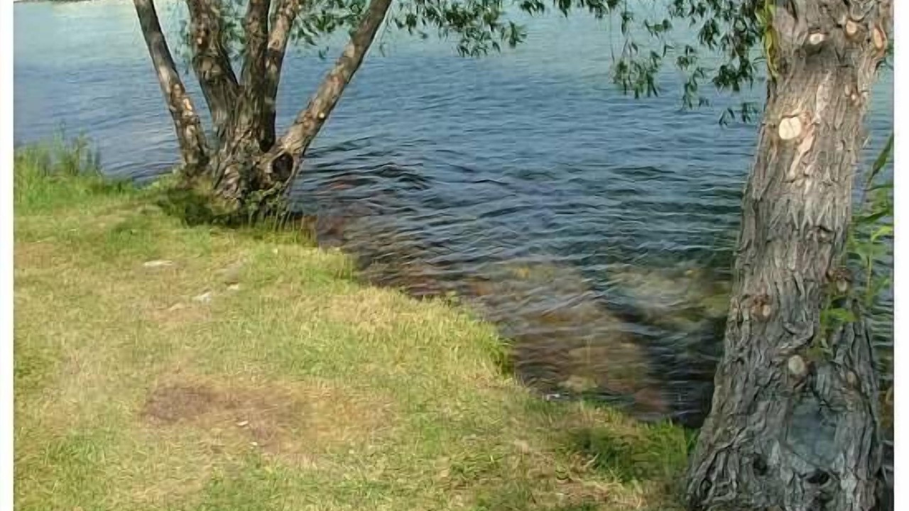 Photo of Others in Rocky Point