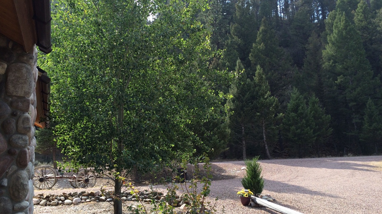 Photo of Outdoor in Philipsburg